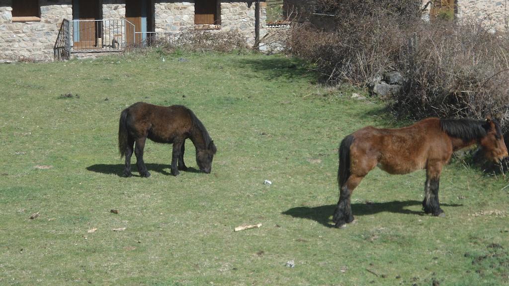 El Rincon De Zaldierna المظهر الخارجي الصورة